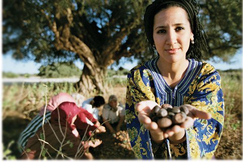 donna-berbera-argan