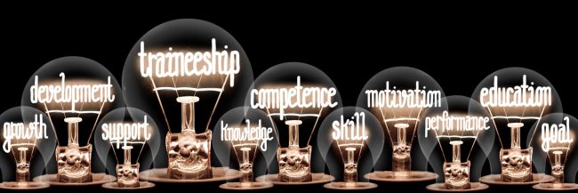 Photo,Of,Light,Bulbs,With,Shining,Fibers,In,Traineeship,,Education,