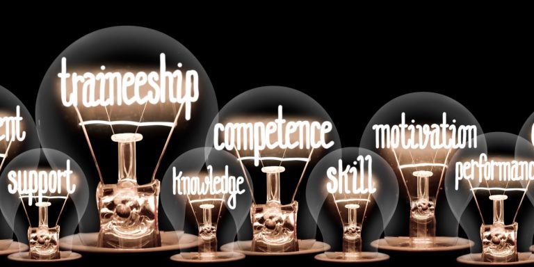 Photo,Of,Light,Bulbs,With,Shining,Fibers,In,Traineeship,,Education,